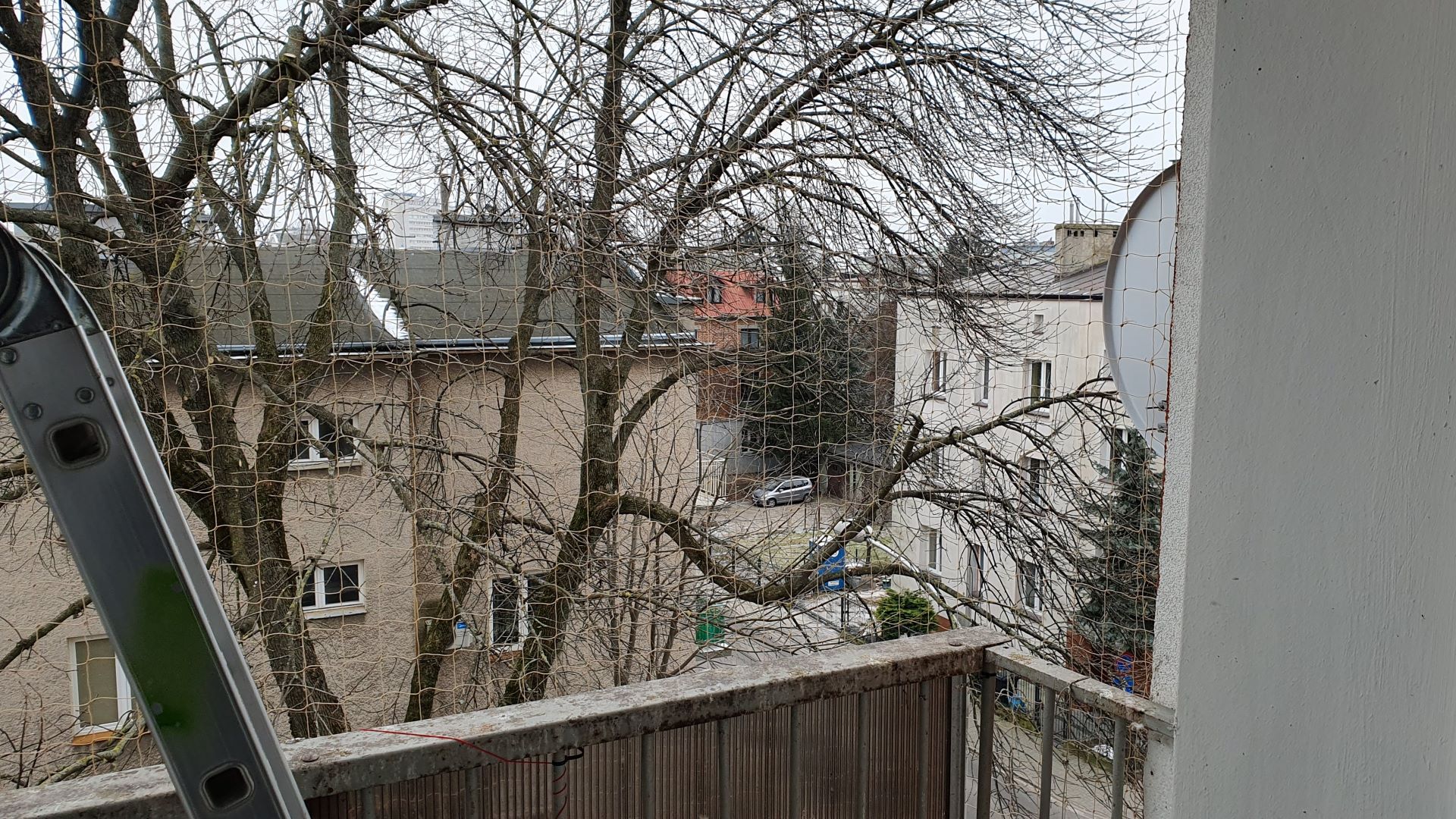 Siatki kolce na gołębie Lublin