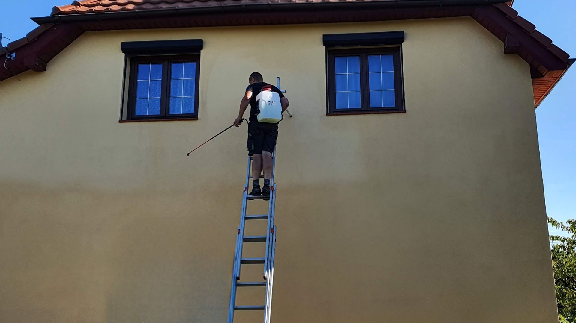 Oprysk biobójczy elewacji i dachu Lublin